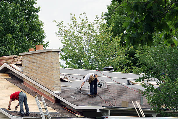 Best Emergency Roof Repair  in Northville, MI