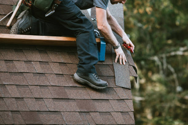 Best Metal Roofing Contractor  in Northville, MI